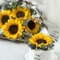 اجاره و فروش ماکت کیک