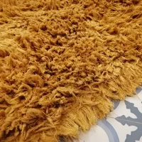 فرش 4 متری شگی، شسته|فرش|تهران, هروی|دیوار