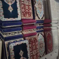 تولیدیپشتی