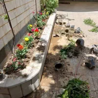 کاشت باغ باغچه چهار فصل گلدار و میوه دار و سبز|خدمات باغبانی و درختکاری|لنجان, |دیوار