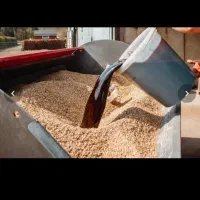 فروش ملاس چغندری تناژ بالا