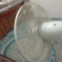 پنکه ایستاده|پنکه و تصفیه‌کنندهٔ هوا|زاهدان, |دیوار