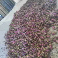 غنچه گل محمدی و تمامی عرقیات ارگانیک