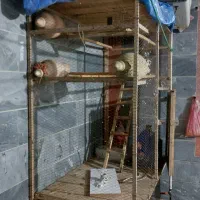 فروش قفس پرنده