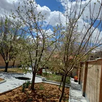 فروش ویلایی دوبلکس در شهر گردشگری افوس|فروش خانه و ویلا|بوئین و میاندشت, |دیوار