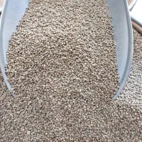 فروش تعدادی قناری ماده.نژاد موزاییکی|پرنده|ساری, |دیوار