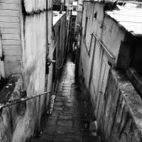 ۰۹۳۹۱۸۱۸۸۸۵