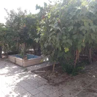 منزل550متری برخیابان مناسب مسکونی، آموزشگاه،موسسه|اجارهٔ خانه و ویلا|اصفهان, گورتان|دیوار