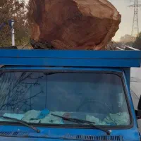 چوب ودرخت|خدمات باغبانی و درختکاری|مشهد, هفده شهریور|دیوار