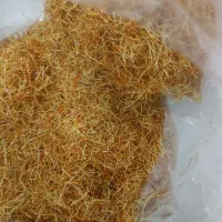 ریشه زعفران