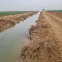 زمین کشاورزی هویزه|فروش زمین و ملک کلنگی|سوسنگرد, |دیوار