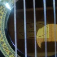 گیتار هونفر بلک|گیتار، بیس، امپلیفایر|کرمان, |دیوار