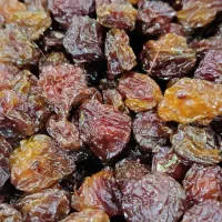 هلوچه|عمدهفروشی|سرپل ذهاب, |دیوار