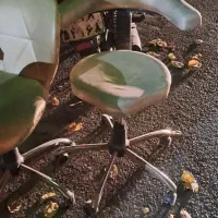 صندلی جک دار