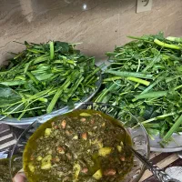 سبزی تازه|خوردنی و آشامیدنی|شیراز, شهرک نیروی انتظامی|دیوار