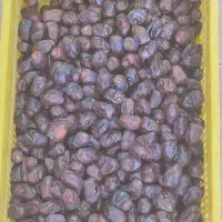 درود خرما اجاره میکنم خرمای خوب و درجه دو هم میخرم