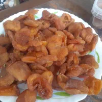برگ زردالو ،لواشک ،الو،الوچه و توت