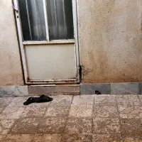 همکف از اپارتمان|فروش آپارتمان|محمدشهر, محمدشهر|دیوار