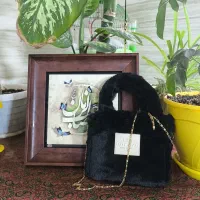 کیف مجلسی نونو