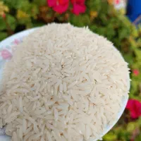 فروش برنج دونوج