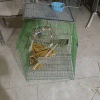 دوعدد قفس پرنده
