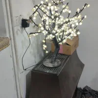 درختچه مصنوعی خوشگل و شب خواب  درختچه یک