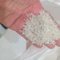 برنج دانه متوسط پاکستانی|خوردنی و آشامیدنی|دزفول, |دیوار