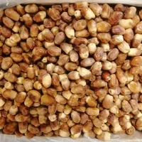 خرمای تازه زاهدی|خوردنی و آشامیدنی|تهران, تختی|دیوار