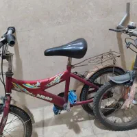 دوعدد دوچرخه باهم