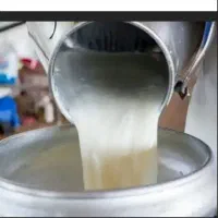 کارشناس خرید شیر وکارشناس خرید و تدارکات