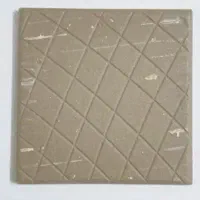 استابنا هستم