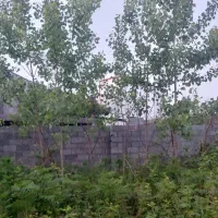 فروش زمین ۳۵۲ متری پستک گلسار