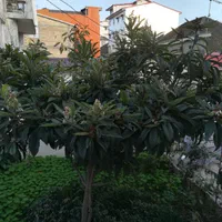 دو خوابه ویلایی در مرکز شهر پاسخگویی ۲۴ ساعته|اجارهٔ کوتاهمدت آپارتمان و سوئیت|آستارا, |دیوار