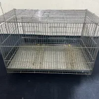 قفس پرنده