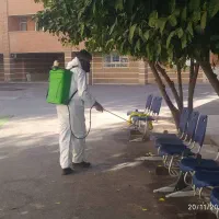 شرکت سم پاشی موریانه زدایی سمپاشی سوسک ساس موش