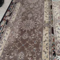 کنار فرش|فرش|سمنان, |دیوار