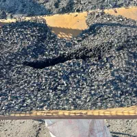 پوست و خاکه زغال