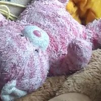 عروسک گم شده