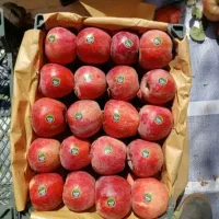 سی ب|حراج|میانه, |دیوار