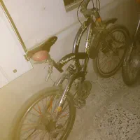 دوچرخه حرفه ای