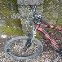 دوچرخه فروشی|دوچرخه، اسکیت، اسکوتر|سلمانشهر, |دیوار