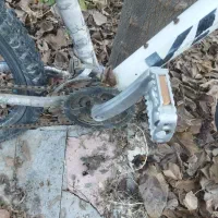 دوچرخه ویوا|دوچرخه، اسکیت، اسکوتر|باسمنج, |دیوار