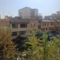 113متر-نقشه-ژورنالی-علامه-جنوبی