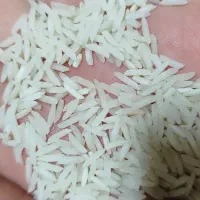 برنج شیرودی اعلا
