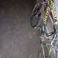 دوچرخه گالانت ۲۶