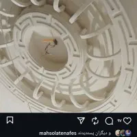 گچکاری با ضمانت شستشو