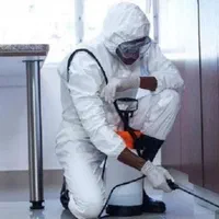 سمپاشی× حشرات×ساس موریانه سوسک کابینت سم خالص بشرط|خدمات نظافت|آبادان, |دیوار