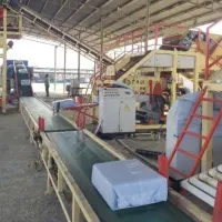 ذرت علوفه ای سیلو (بسته بندی 30k)