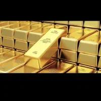 پلاک زنجیرم گمشده