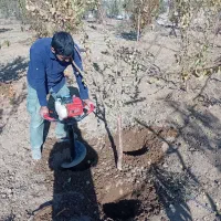 اره موتوری و چاله کن|خدمات باغبانی و درختکاری|مهاجران, |دیوار